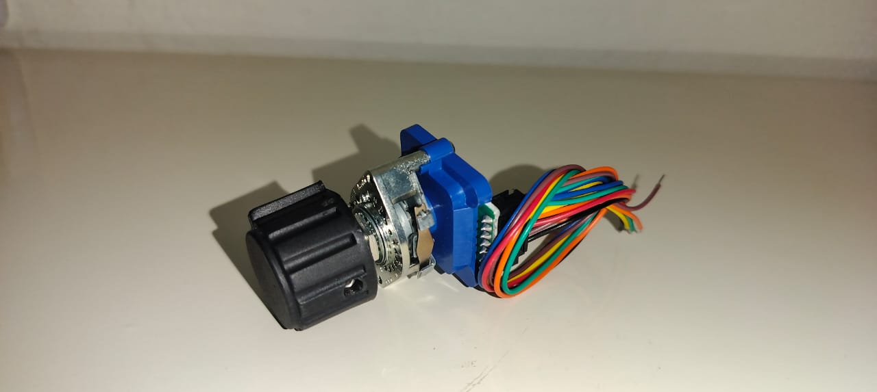 Rotary Switch